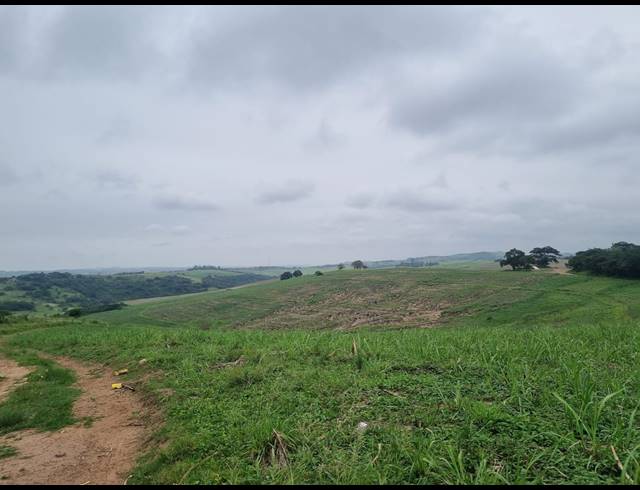 80,000M² VACANT LAND FOR SALE IN SHAKASKRAAL